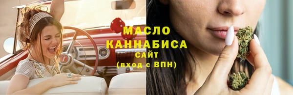 сатива Анжеро-Судженск