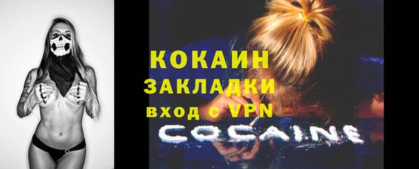 сатива Анжеро-Судженск