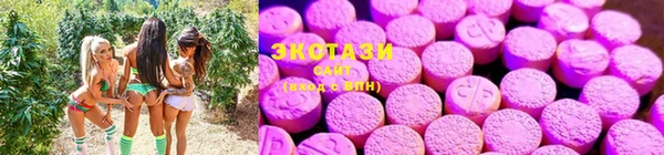 гидра Нефтекумск